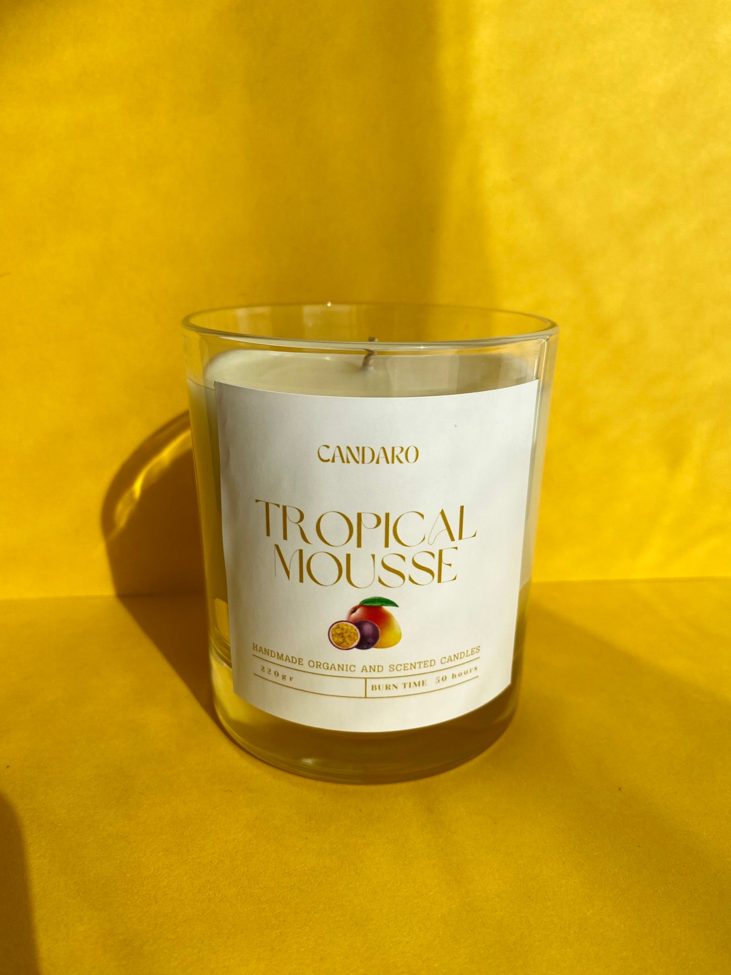 Tropical Mousse